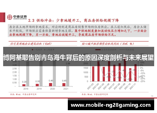 博阿基耶告别青岛海牛背后的原因深度剖析与未来展望 博阿基耶告别青岛海牛背后的原因深度剖析与未来展望