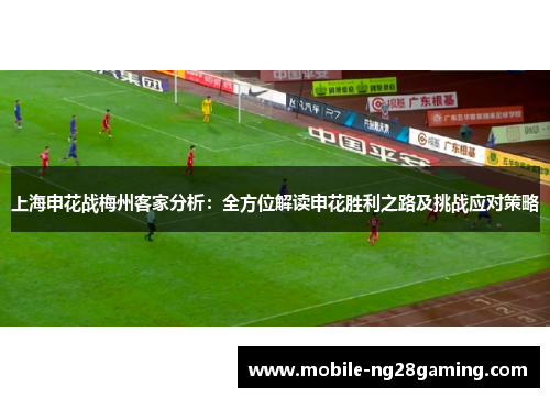 上海申花战梅州客家分析:全方位解读申花胜利之路及挑战应对策略 上海申花战梅州客家分析:全方位解读申花胜利之路及挑战应对策略