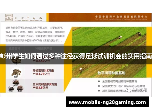 彭州学生如何通过多种途径获得足球试训机会的实用指南 彭州学生如何通过多种途径获得足球试训机会的实用指南