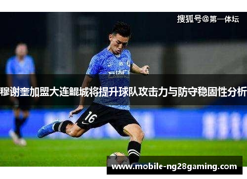 穆谢奎加盟大连鲲城将提升球队攻击力与防守稳固性分析