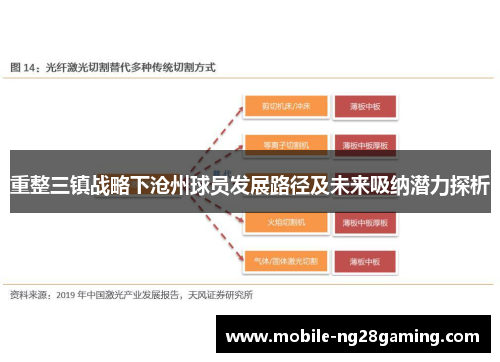 重整三镇战略下沧州球员发展路径及未来吸纳潜力探析