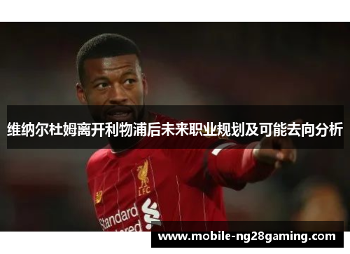 维纳尔杜姆离开利物浦后未来职业规划及可能去向分析 维纳尔杜姆离开利物浦后未来职业规划及可能去向分析