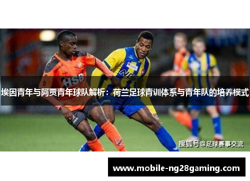 埃因青年与阿贾青年球队解析：荷兰足球青训体系与青年队的培养模式