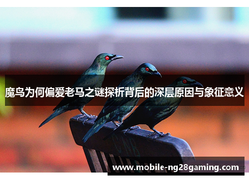 魔鸟为何偏爱老马之谜探析背后的深层原因与象征意义