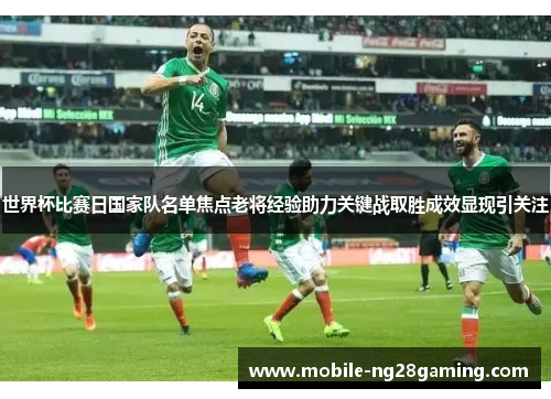 世界杯比赛日国家队名单焦点老将经验助力关键战取胜成效显现引关注 世界杯比赛日国家队名单焦点老将经验助力关键战取胜成效显现引关注