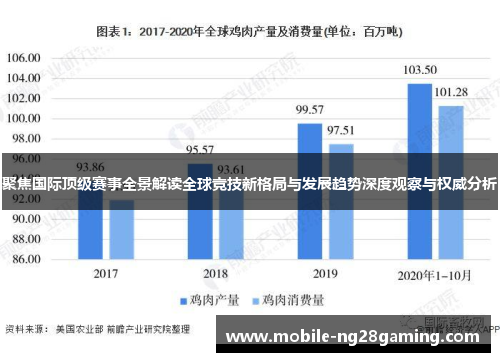 聚焦国际顶级赛事全景解读全球竞技新格局与发展趋势深度观察与权威分析